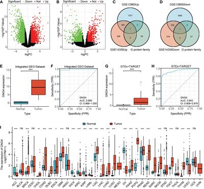 High GNG4 predicts adverse prognosis for osteosarcoma: Bioinformatics prediction and experimental verification